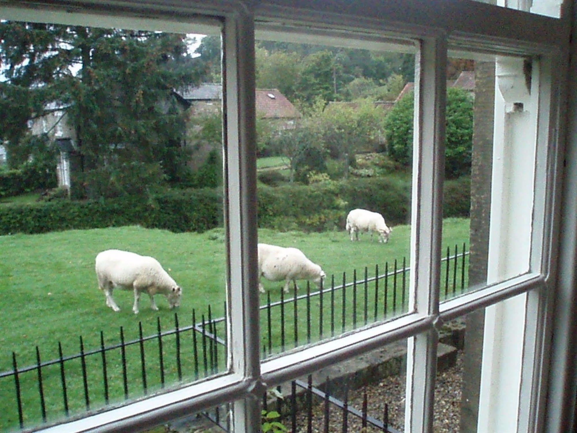 Burnley House Hotel Hutton le Hole Exterior photo